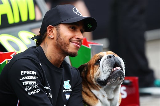 F1 Champion Lewis Hamilton Explains Why His Bulldog, Roscoe, Eats Only Vegan Food: 'He's Like a Puppy Again at 9 Years Old'