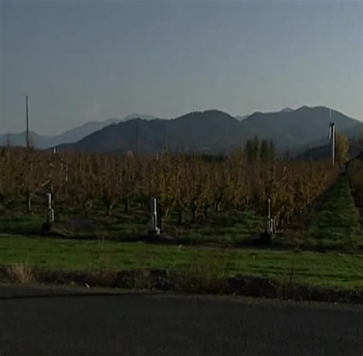 Forensic Files A detective’s Part 30 | Forensic Zone