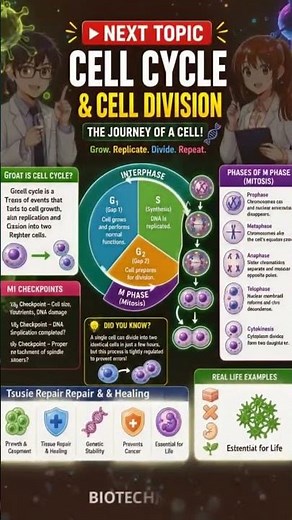 🧬🎥 Cell Cycle & Cell Division Explained | Interphase | Mitosis | Biology Made Easy