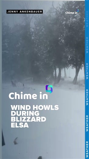 Wind gusts during Blizzard Elsa