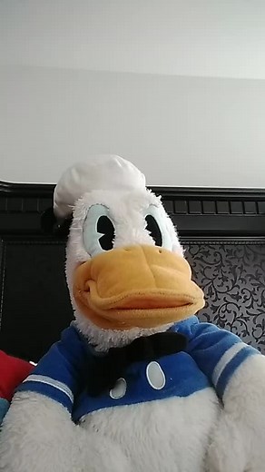 donald duck and chef Mario (@the_crazy_chef_mario)’s videos with original sound - Gutter