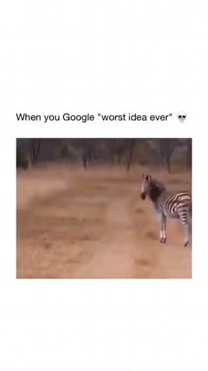 Video from Wild Boyz TV Show. A definite "don't try this at home" scenario. | Bad Science Jokes