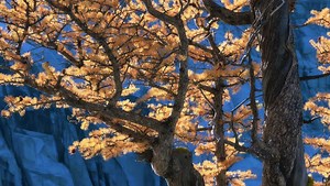 Light is Everything: Finding and Shooting Good Light in Landscape Photography