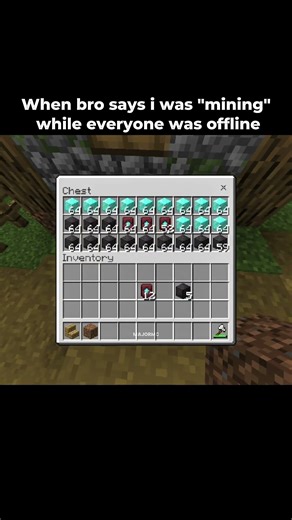 A friend who uses cheats in Minecraft