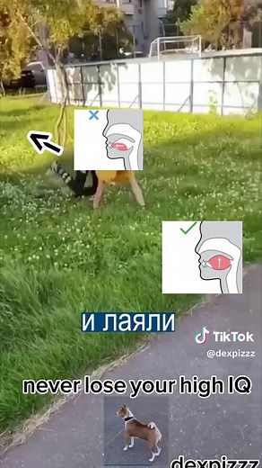 #квадроберы #fyp #рек #популярное