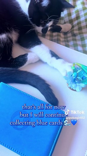 Cute Mini Binders for Storing Pokemon Cards