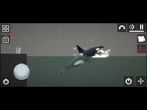 Orca killer whale mod for melon playground