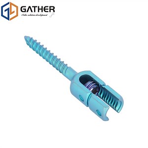 [Hot Item] Spinal Rod System Double Thread Spinal Pedicle Screw