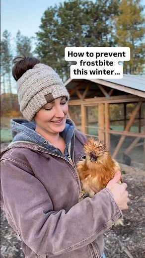 How to Prevent Frostbite in the Coop 🥶 #chickencoop #backyardchickens