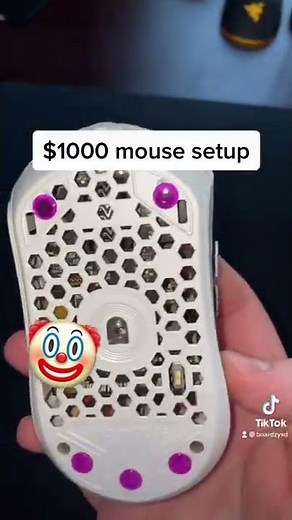 the most EXPENSIVE gaming mouse (worth it?)