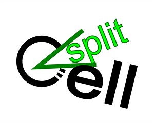 CellSplit v0.1 (source code) file