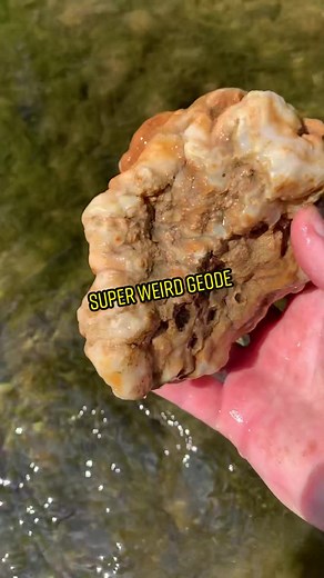Geode hunting in Missouri #geode #mineral #rockhound #crystals