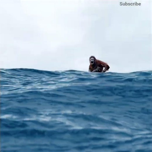 The Saddest Moment in Life of Pi.. 💔