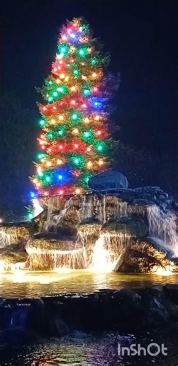 Το Πάρκο των χρωμάτων #christmastree #χριστούγεννα #πρωτοχρονιά #xmas #κατερίνη #christmas #shorts