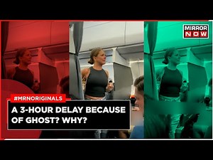 Viral Video | US Woman Claims To See Someone Unreal In Flight | US Viral Video | American Airlines