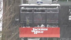 Jackson Hole restaurant owner dies after fall into tree well, Krause family creates scholarship in his honor - Local News 8