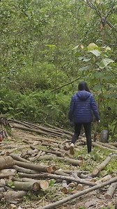 Completed building the biggest diy log cabin in the forest and relax #relax #bushcraft #campingideas #camping | Thomas Samantha