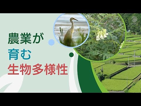 農業が育む生物多様性