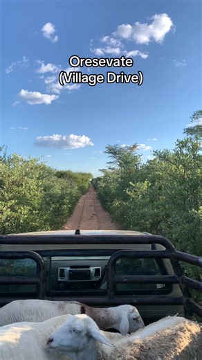 Experience the Charm of Village Driving in Namibia