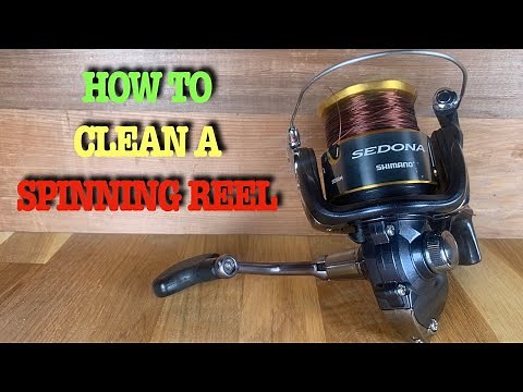 How to clean a SPINNING REEL | cleaning fishing reel tips