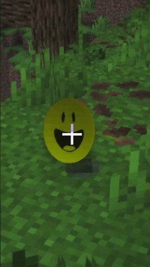 Minecraft Verity Mod Sings BUTCHER VANITY 🎵