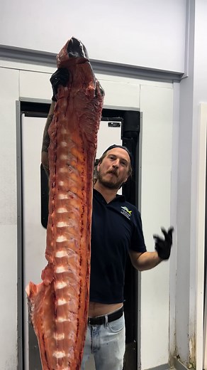 Pumpkin Swordfish! In the ocean yesterday and available today! @captainclayandsonsseafood