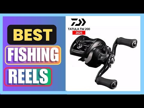 Best DAIWA TATULA TW 200 Baitcast Fishing Reel Review