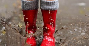 Klimaatverandering: wat zijn de gevolgen?