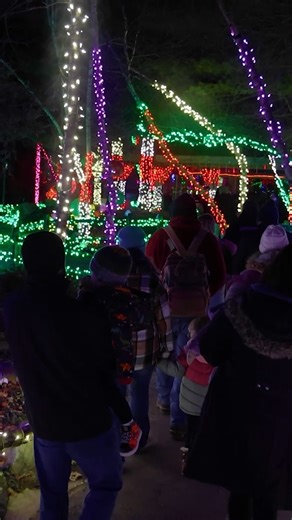 It's official. Tis the season for ZooLights! ✨🎄 Find all the cozy tradition and holiday magic as you stroll through a sparkling winter wonderland of tree-lined paths at Stone Zoo. Get tickets at StoneZoo.org. | Stone Zoo