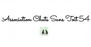Chats sans Toit 54