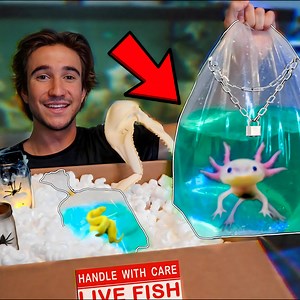 Buying The Creepiest Mystery Box Off The Web! 😱 | The Fish Guys