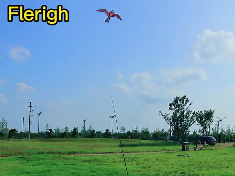 Bird Hawk Flying Kite with Pole Crops Farm Protector Bird Scarer Flying Kite with 4m Pole-Style A