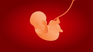 Visual Animation of Baby in Womb