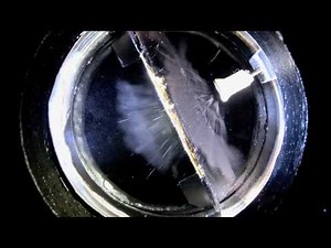 Cloud chamber. Alpha particles. II