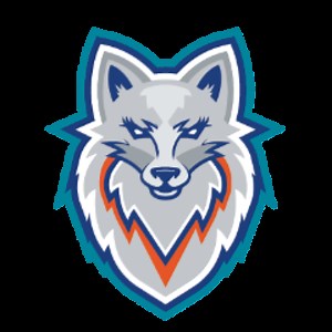ForsythTechEsports - Twitch
