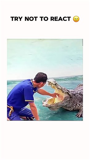 try not to react part 8.. #laughing #funnymoments #funny #trynottolaugh #trynottoreact