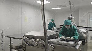 Female Factory Workers Put Medicine In Vacuum Packs. Fast Professional Work At Medical Plant. Using Vacuum Packaging Machine. Medications Packed By Vacuum Method. Pharmacology. Mass Drugs Production.