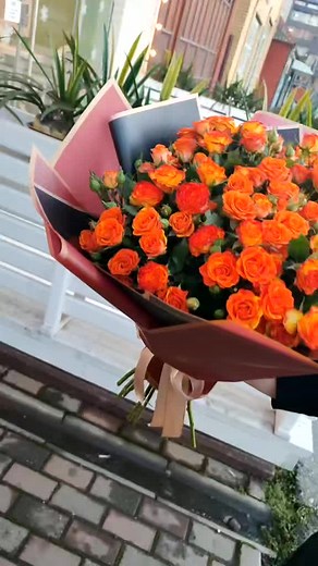 Donna_roza_95 on TikTok