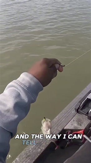 Pre-spawn Crappie fishing with Hook City Tv : You can't rush it! | Fishing Ken