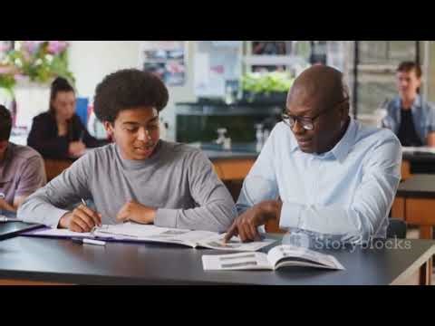 Professional Article Review Writing Support