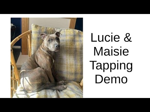 Lucie & Maisie EFT/Tapping for Rescue Dogs Demonstration