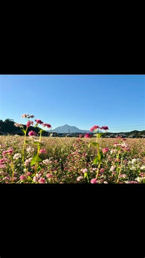 24 reactions | Yoshifumi Fukuoka on Reels | Facebook