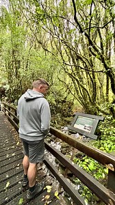 The York Road Loop Track is a hidden Taranaki hiking gem for explorers big and small 🍃🚶‍♀️ This 5.3km loop is a great way to get close to nature and discover a slice of the region’s history. Whether you’re a seasoned tramper or a weekend wanderer, Taranaki is a paradise for hikers. How many local trails have you ticked off? 🎒Remember to always dress for the conditions and leave no trace. | Taranaki - like no other