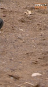 379K views · 6.5K reactions | Border patrol agents use tracking skills passed down from tribes like the Sioux and Navajo. They spot broken twigs, disturbed grass, and faint footprints to locate people crossing the border. It's a test of skill and endurance in the harsh desert. #BorderPatrol #TrackingSkills #SonoranDesert #LawEnforcement #USBorder | Prison Stories | Facebook