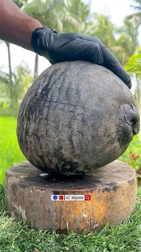 Watch This! This Coconut Is Giving Me Anxiety😱