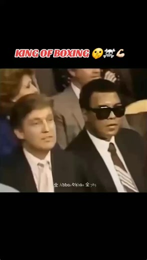 King of Boxing: The Rise of a Champion