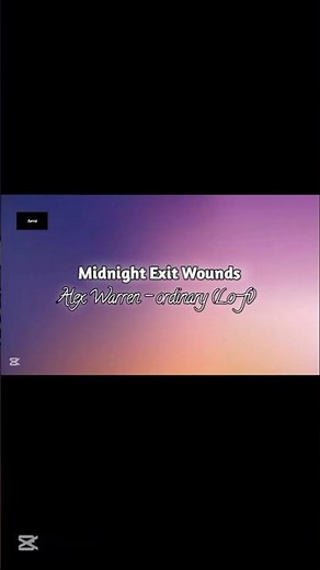 Midnight_Exit_Wounds_-_Alex Warren - ordinary (Lyrics)