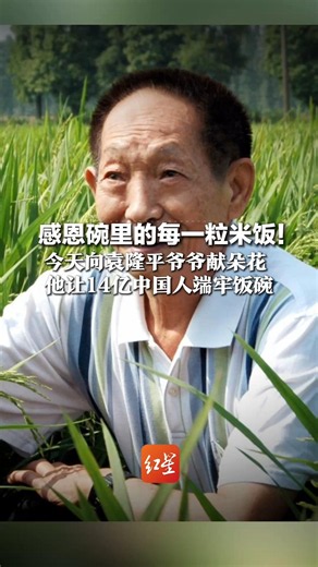 感恩碗里的每一粒米饭！今天向袁隆平爷爷献朵花，他让14亿中国人端牢饭碗，离开我们5年，那粒种子从海南种到戈壁
