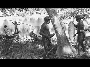 The Stolen History of Australia and New Zealand - p 14 / When the Survivors Wake Up