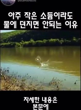 소듐 1파운드를 물에 던지면? 💥소듐은 물에 닿는 순간 엄청나게 빠르게 반응합니다. 열이 나고, 수소 기체가 발생하고, 때로는 불까지 붙죠.근데 이걸 무려 1파운드로 늘리면 어떻게 될까요? 결과는… 화학이 얼마나 강력한지 제대로 보여주는 폭발적인 반응입니다. 실시간으로 터지는 순간을 보면 그 에너지가 그대로 느껴집니다! 소듐_나트륨의 영어이름!!